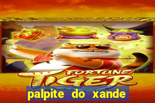 palpite do xande de hoje